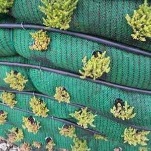 In Belgium, SiltSoxx Find New Use in Beepods