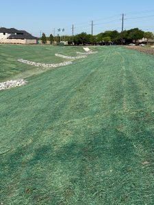 Erosion Control Blankets vs. Turf Reinforcement Mats (TRMs): How to Choose