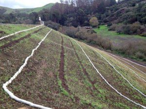Build Greener Energy Sites with Nature90™: Biodegradable Erosion Control for Solar & Wind Projects