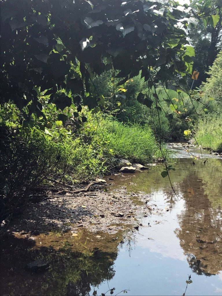 GreenLoxx MSE PA Roadway - AFTER 1 late 2018_adj