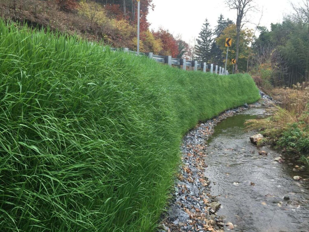 GreenLoxx MSE PA Roadway - AFTER