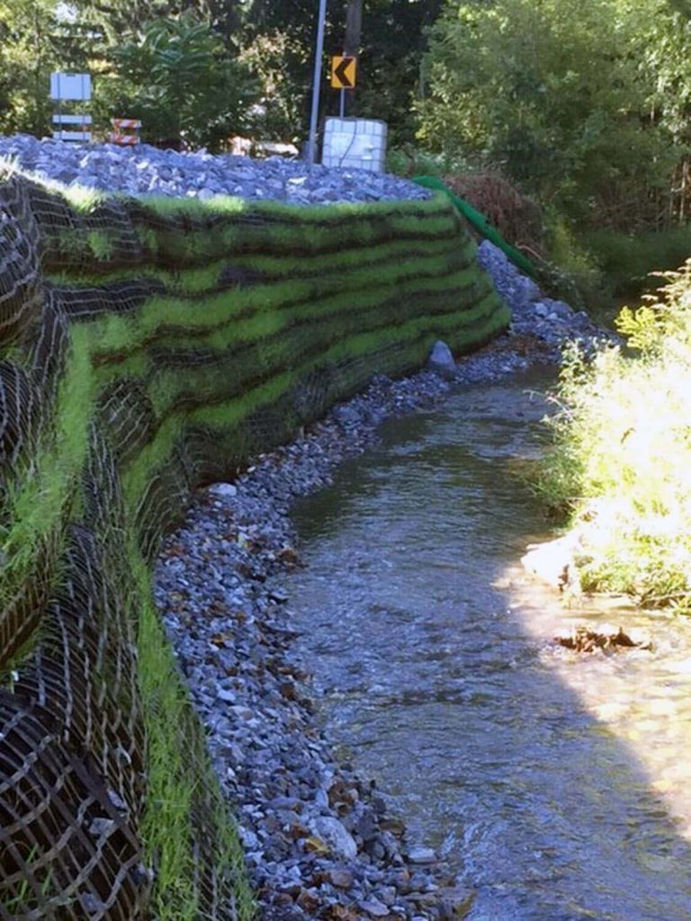 GreenLoxx MSE PA Roadway - ESTABLISHED