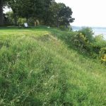 GreenLoxx Non-MSE Shore Stabilization - Lake Erie Ohio - AFTER 4 MONTHS