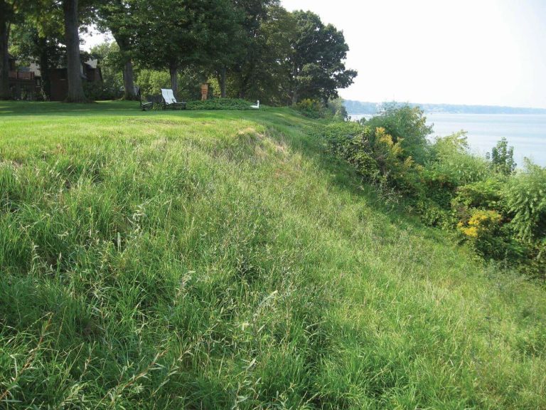 GreenLoxx Non-MSE Shore Stabilization - Lake Erie Ohio - AFTER 4 MONTHS