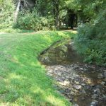 GreenLoxx Vsf Little Harpeth River Brentwood Tn
