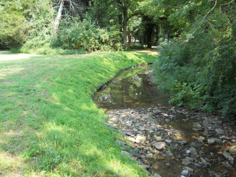 GreenLoxx Vsf Little Harpeth River Brentwood Tn