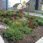 GroSoxx Bioswale