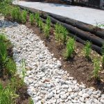 GroSoxx Bioswale