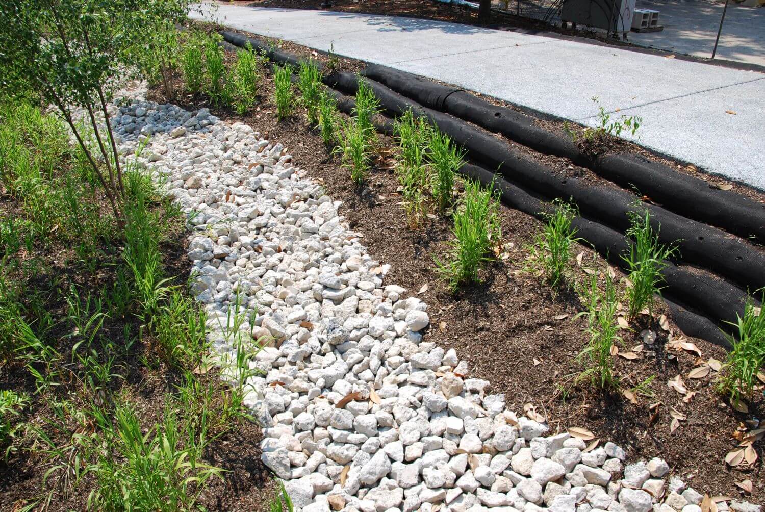 Bioswales