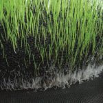 GroSoxx - Closeup - Grass