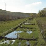 GroSoxx Filtration System
