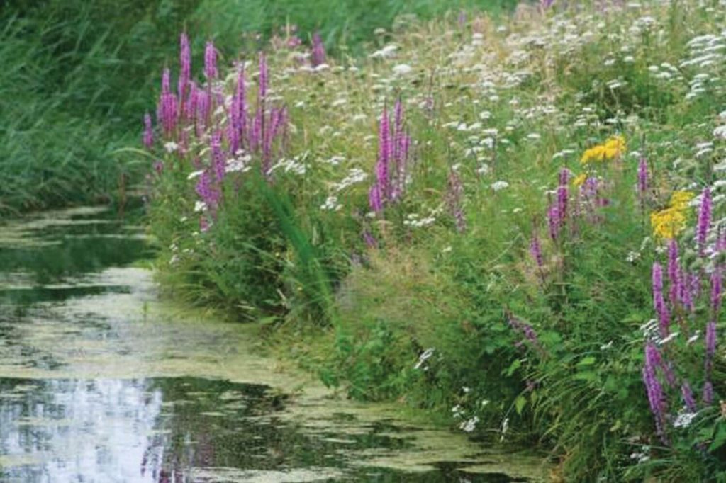 GroSoxx Vegetaged Gabion in Canal