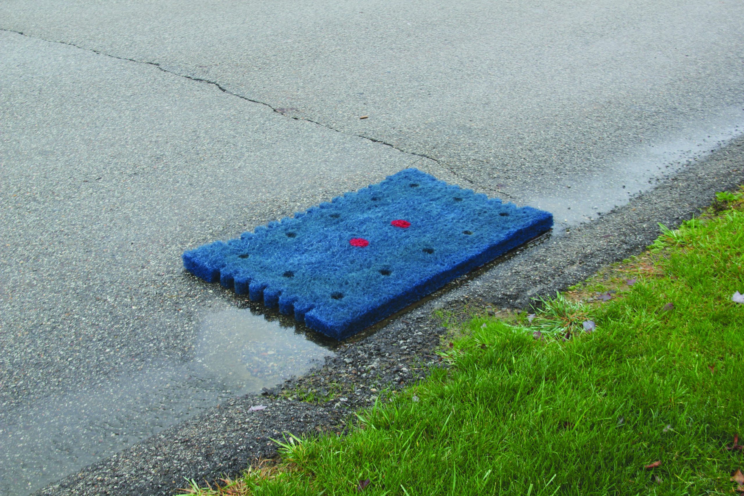 Layer 4: Inlet Protection and Downstream Safeguards