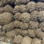 Coir Log