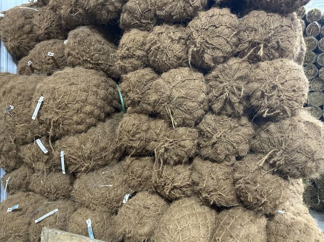 Coir Log