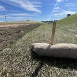 Excelsior Log