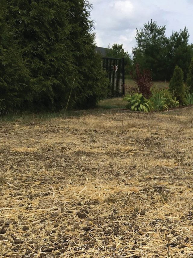 Why Seeding and Erosion Control Can Be Challenging