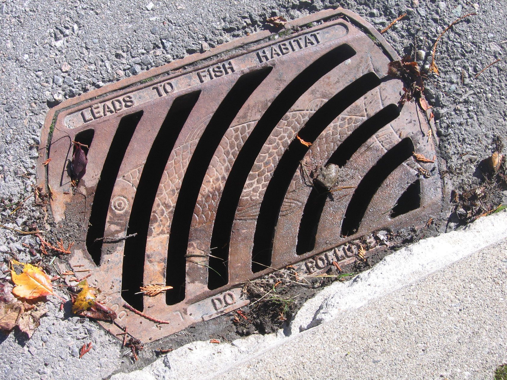 Common Failure Points to Avoid