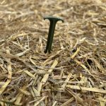 GreenStake Straw Blanket