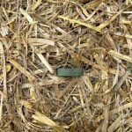 GreenStake Straw Blanket