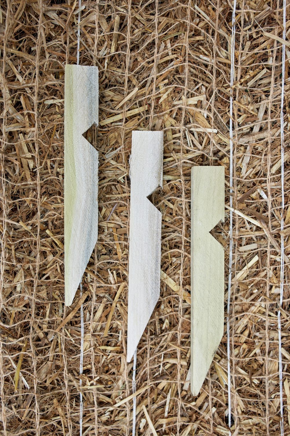 Wood Eco-Pegs