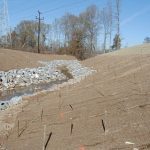 Coconut erosion control blanket C125 on a streambank