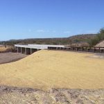 Excelsior erosion control blanket Bridge Abutment