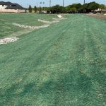 Excelsior erosion control blanket Green