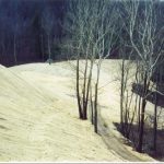 Excelsior erosion control blanket on a slope