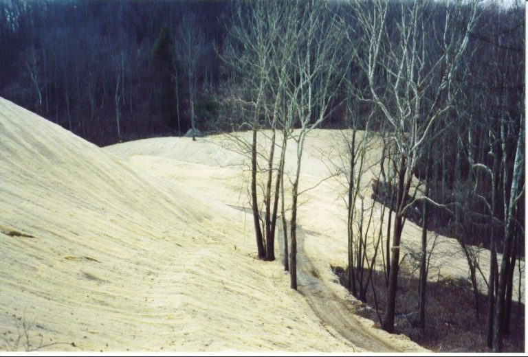 Excelsior erosion control blanket on a slope