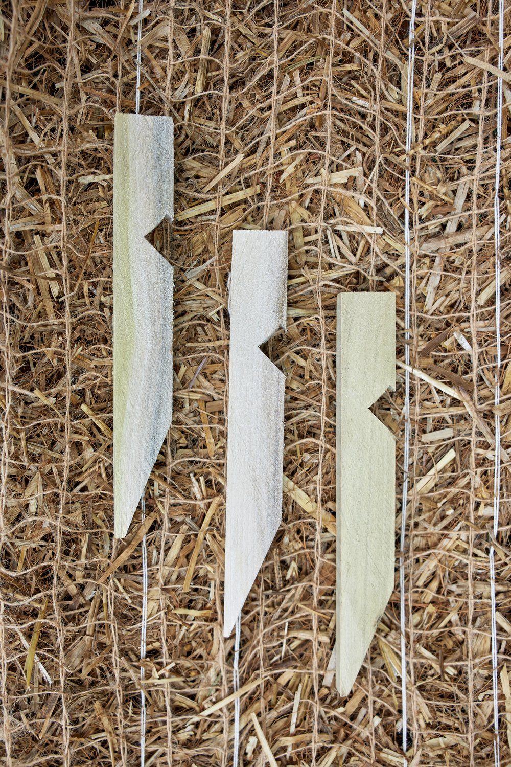 Eco-Peg wood stakes laid on an erosion control blanket