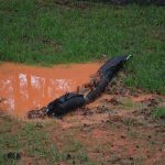 Silt Saver Low Velocity Ditch Check