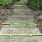 Silt Saver Travel Lane Wattle