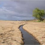 Straw erosion control blanket Fullline