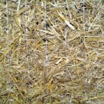 Straw erosion control blanket S Close up