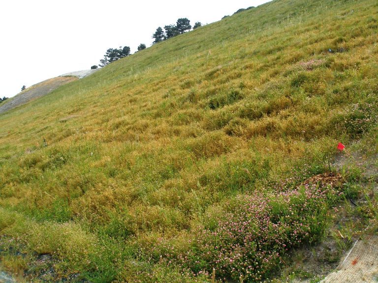 Turf reinforcement mat Canal Quarry